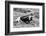 B&W Longhorn I-Tyler Stockton-Framed Photographic Print