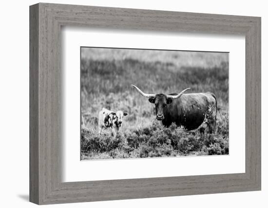 B&W Longhorn II-Tyler Stockton-Framed Photographic Print