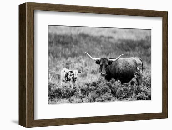 B&W Longhorn II-Tyler Stockton-Framed Photographic Print