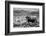 B&W Longhorn II-Tyler Stockton-Framed Photographic Print