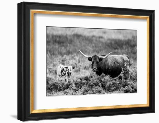 B&W Longhorn II-Tyler Stockton-Framed Photographic Print