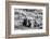 B&W Longhorn III-Tyler Stockton-Framed Photographic Print