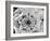 B&W Peony III-Franklin Kearney-Framed Photographic Print