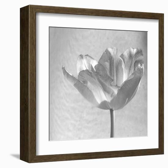 B&W Tulip-Gail Peck-Framed Art Print