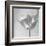 B&W Tulip-Gail Peck-Framed Art Print