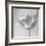 B&W Tulip-Gail Peck-Framed Art Print