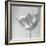 B&W Tulip-Gail Peck-Framed Art Print