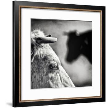 B & W-Piet Flour-Framed Photographic Print