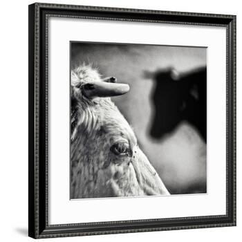B & W-Piet Flour-Framed Photographic Print
