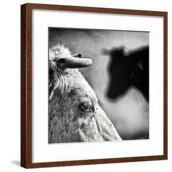 B & W-Piet Flour-Framed Photographic Print