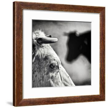 B & W-Piet Flour-Framed Photographic Print