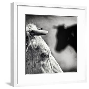 B & W-Piet Flour-Framed Photographic Print