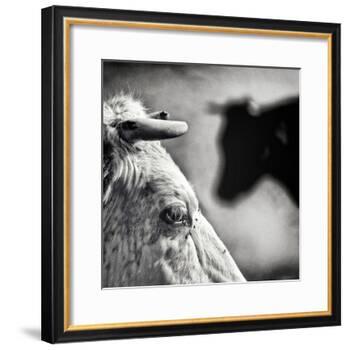 B & W-Piet Flour-Framed Photographic Print