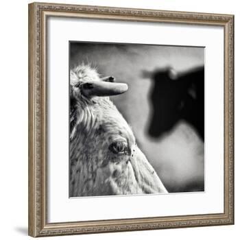 B & W-Piet Flour-Framed Photographic Print