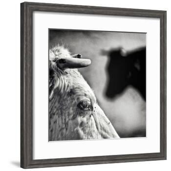 B & W-Piet Flour-Framed Photographic Print