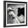 B & W-Piet Flour-Framed Photographic Print