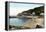 Babbacombe Bay, Torquay, Devon, 20th Century-Francis Frith-Framed Premier Image Canvas
