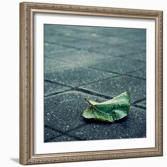 Babbelute-Cristina Salas Mendoza-Framed Photographic Print