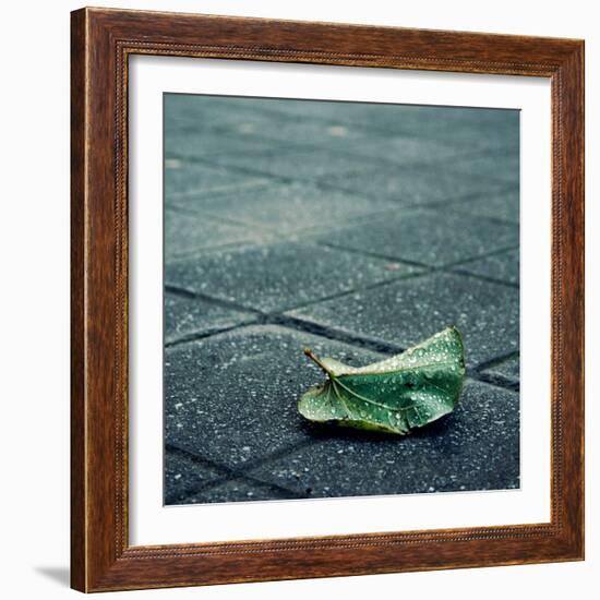 Babbelute-Cristina Salas Mendoza-Framed Photographic Print