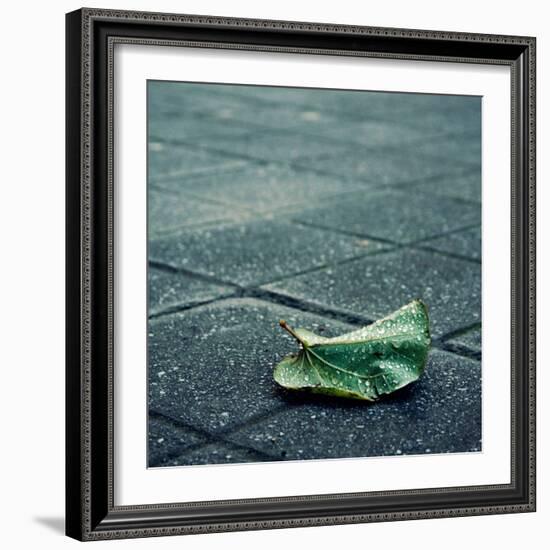 Babbelute-Cristina Salas Mendoza-Framed Photographic Print