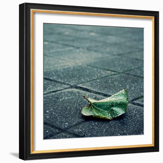 Babbelute-Cristina Salas Mendoza-Framed Photographic Print