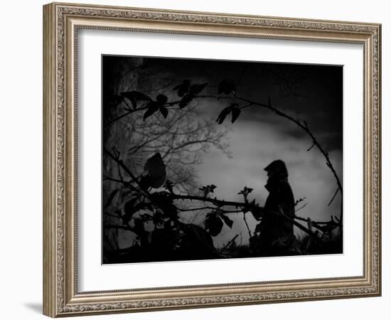 Babbleify-Sharon Wish-Framed Photographic Print