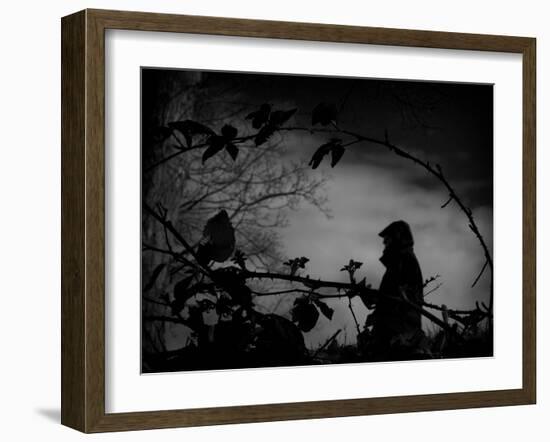 Babbleify-Sharon Wish-Framed Photographic Print