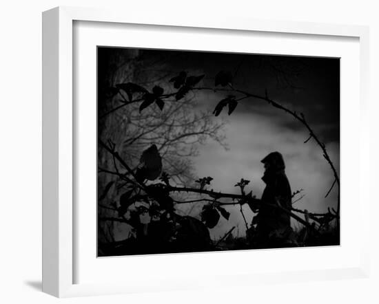 Babbleify-Sharon Wish-Framed Photographic Print