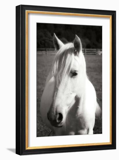 Babe II - BW-Alan Hausenflock-Framed Photographic Print