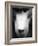 Baboon Face-Henry Horenstein-Framed Photographic Print