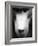 Baboon Face-Henry Horenstein-Framed Photographic Print