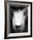 Baboon Face-Henry Horenstein-Framed Photographic Print