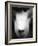 Baboon Face-Henry Horenstein-Framed Photographic Print