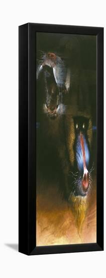 Baboon Scream-Durwood Coffey-Framed Premier Image Canvas