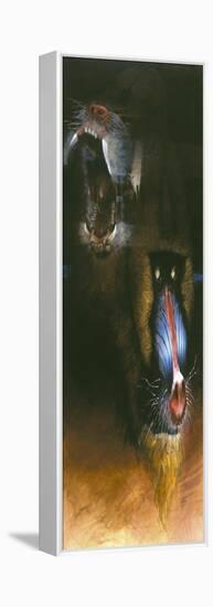 Baboon Scream-Durwood Coffey-Framed Premier Image Canvas