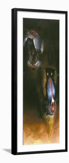 Baboon Scream-Durwood Coffey-Framed Giclee Print