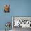 Babushka Dolls, Riga, Latvia, Baltic States, Europe-Yadid Levy-Photographic Print displayed on a wall