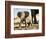 Baby African Elephant in Mud, Namibia-Joe Restuccia III-Framed Photographic Print