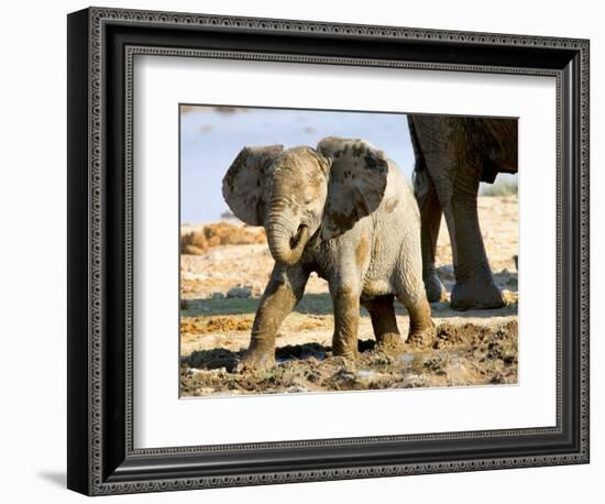 Baby African Elephant in Mud, Namibia-Joe Restuccia III-Framed Photographic Print