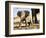 Baby African Elephant in Mud, Namibia-Joe Restuccia III-Framed Photographic Print