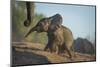 Baby African Elephant (Loxodonta Africana), Climbing Up A Riverbank, Chobe National Park, Botswana-Wim van den Heever-Mounted Photographic Print