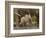 Baby African Elephant (Loxodonta Africana), Serengeti National Park, Tanzania, East Africa, Africa-James Hager-Framed Photographic Print