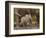 Baby African Elephant (Loxodonta Africana), Serengeti National Park, Tanzania, East Africa, Africa-James Hager-Framed Photographic Print