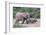 Baby African Elephants and Mom-Four Oaks-Framed Photographic Print