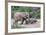 Baby African Elephants and Mom-Four Oaks-Framed Photographic Print