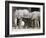 Baby African Elephants, Loxodonta Africana, Etosha National Park, Namibia, Africa-Ann & Steve Toon-Framed Photographic Print