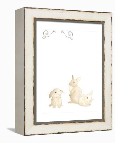 Baby Animals I-June Erica Vess-Framed Stretched Canvas