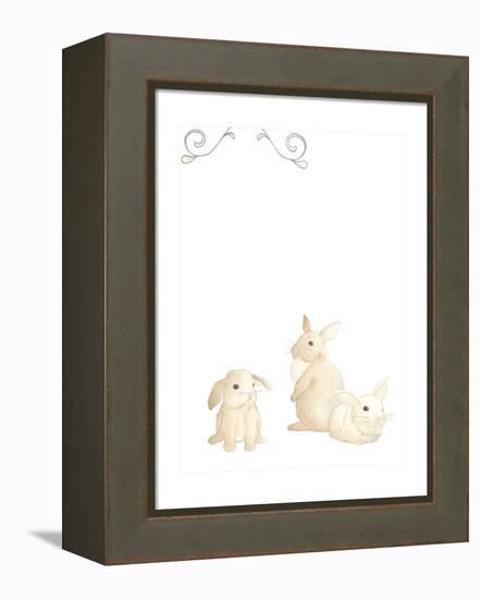 Baby Animals I-June Erica Vess-Framed Stretched Canvas