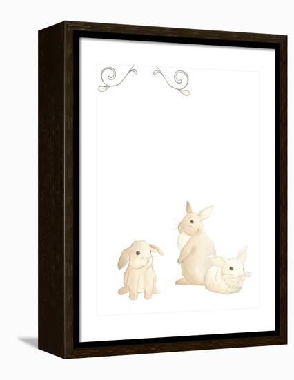 Baby Animals I-June Erica Vess-Framed Stretched Canvas