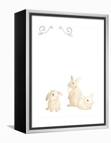 Baby Animals I-June Erica Vess-Framed Stretched Canvas